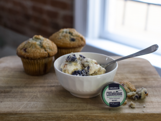 CBD Blueberry Muffin Ice Cream Recipe