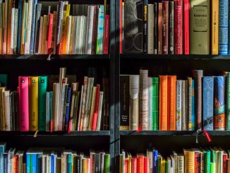 best-cbd-books