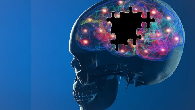 Alzheimer's Disease & the Endocannabinoid System