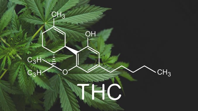 How Does Delta-8 THC Affect The Endocannabinoid System