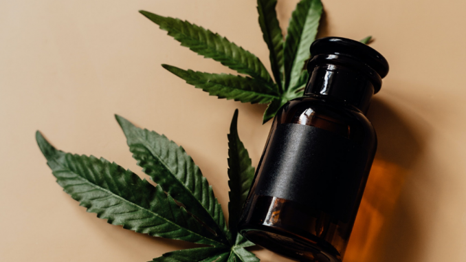 CBD Oil vs Gummies: Which Is Right for You?