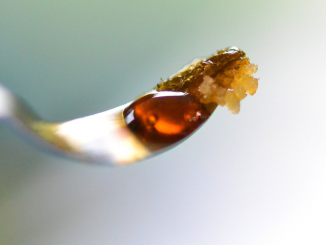 How to Choose the Best Delta 8 THC Dabs: My Top Picks!