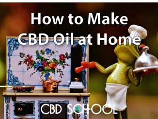 How to Make Incredible CBD Oil at Home