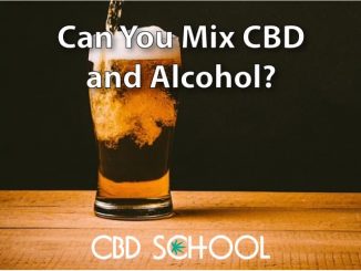 Mixing CBD and Alcohol: Should You?