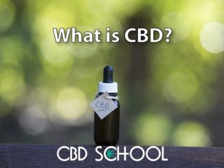 What is CBD (Cannabidiol)? Why Has It Become So Popular?