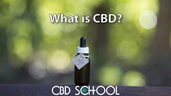 What is CBD (Cannabidiol)? Why Has It Become So Popular?