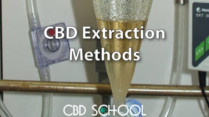 CBD Extraction Methods Explained in Detail