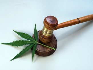 Democratic Senators Seek Colleagues' Input on Federal Cannabis Legalization