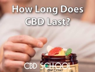 How Long Does CBD Last? How Long Can I Feel the Effects?