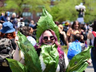 New York Lawmakers Greenlight Cannabis Cultivation