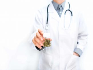 Judge Clears Florida Doctor Accused of Medical Cannabis Fraud