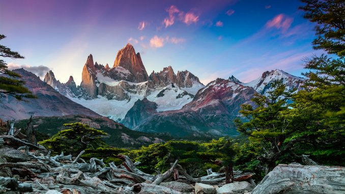 Argentina Authorizes Nonprofit Patient Cannabis Collectives