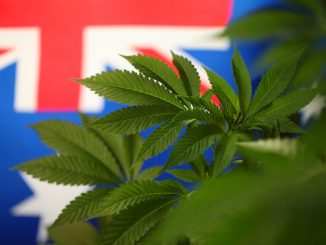 Australia Poll Finds 50% in Favor of Recreational Pot Reform |