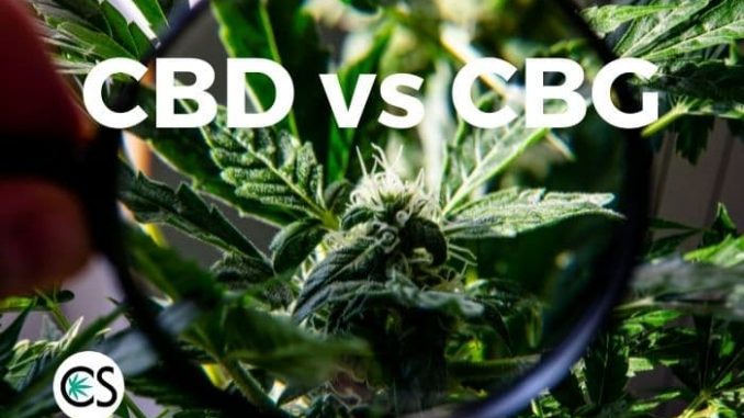 CBD vs. CBG: A Complete Comparison