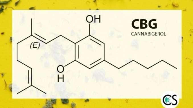 Full Spectrum CBG Oil: What is It?