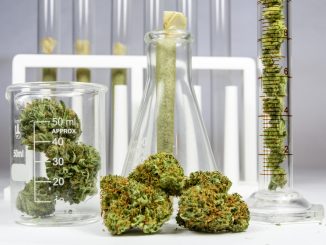 Illinois Attorney’s Office Reaches Over 15,000 Cannabis Expungements |