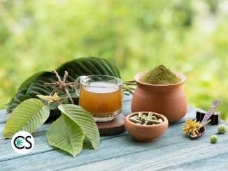 Kratom vs. CBD: A Complete Comparison