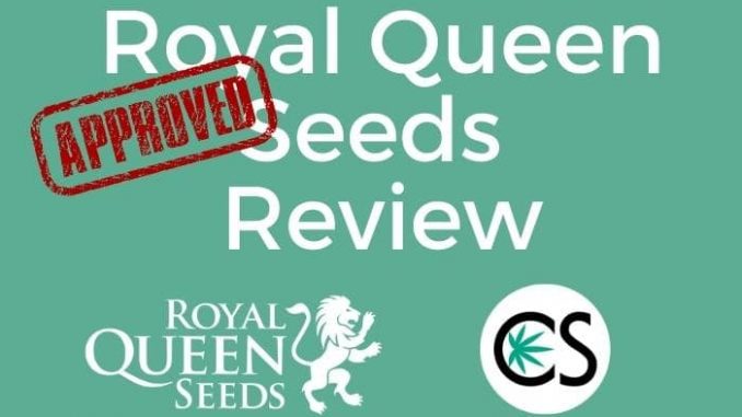 Kush Royal Queen Seeds Review