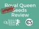 Kush Royal Queen Seeds Review