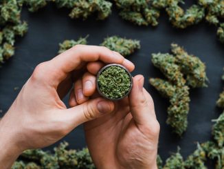 Maryland Governor Won’t Block Legalization if Passed by Voters |