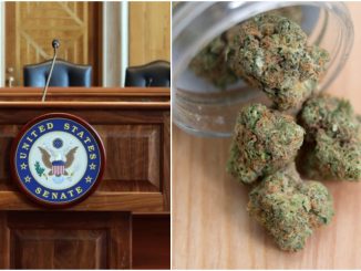 Several GOP Senators Oppose Legalizing Pot Following MORE Act Vote |