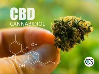 Why Has CBD Become So Popular? Is It Here to Stay?