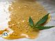 Best CBD Wax - CBD School