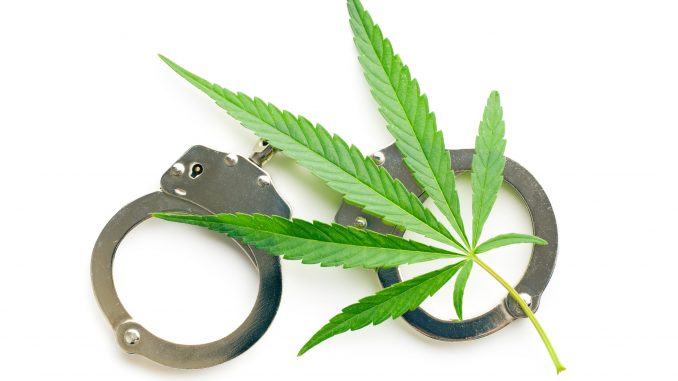 Maryland Judge Bans Any Talk of Legalization in Pot Trafficking Trial |