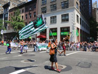 New York Senate Passes Gray Market Cannabis Bill