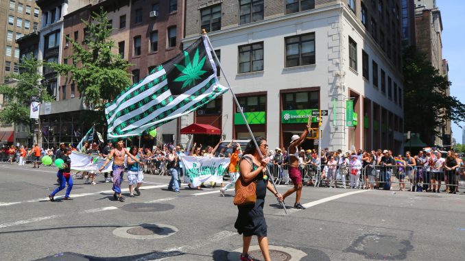 New York Senate Passes Gray Market Cannabis Bill
