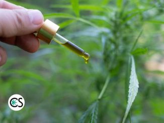 What is a CBD Tincture?