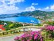 Draft Rules Published for U.S. Virgin Islands Medical Cannabis Program