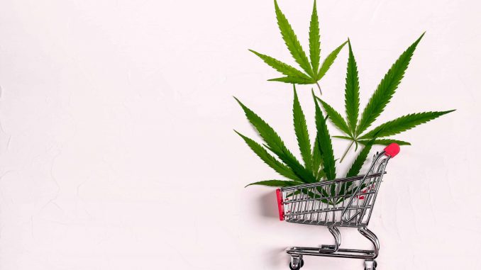 New Mexico Cannabis Sales Hit $40 Million in July