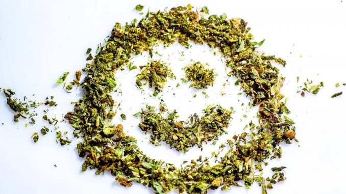 People With First-Hand Experience More Likely to Perceive Pot Positively