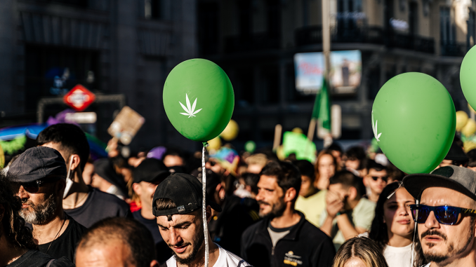 Spanish Government Gives Green Light to Medical Cannabis