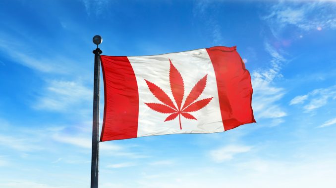 Canadian Government To Review Cannabis Legalization