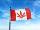 Canadian Government To Review Cannabis Legalization