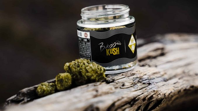 House of Kush to Go Global with Clever Leaves, Bringing Classic Strains to the Masses