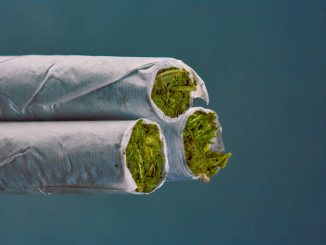 Is Big Tobacco Pivoting to Big Cannabis?