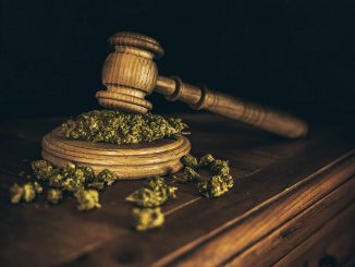 Nevada Judge Orders State Board to Remove Cannabis from Schedule 1