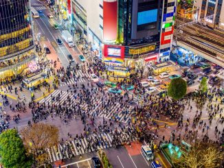 Japanese Health Officials Propose Revision of Law To Allow Import, Medical Cannabis