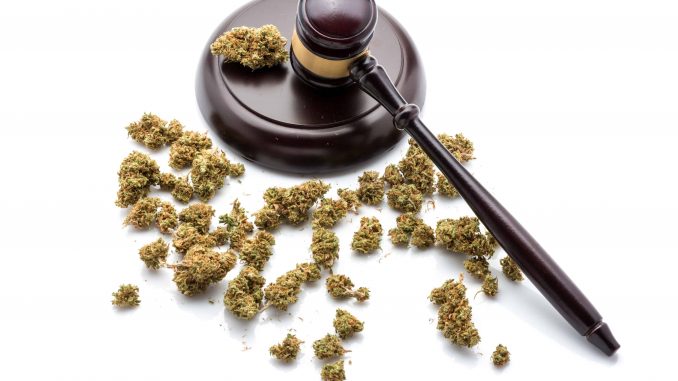 Federal Judge Blocks New York Regulators From Issuing Pot Shop Licenses