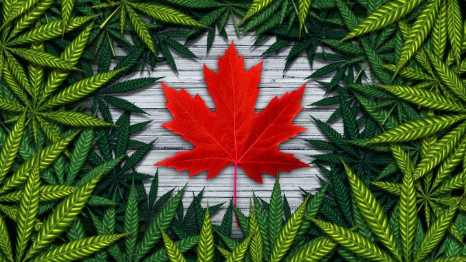 Canada Establishes Expert Panel To Review Cannabis Act