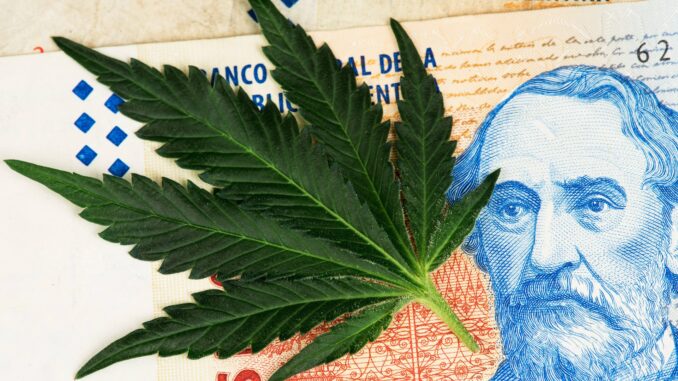 Argentina Launches New Agency To Boost Cannabis Industry