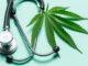 Florida Medical Cannabis Doctor Sues State Health Department