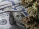 Maryland Lawmakers Pass Recreational Marijuana Sales Bill