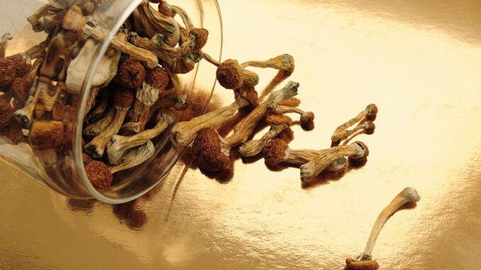 Missouri House Approves Psilocybin Research Bill