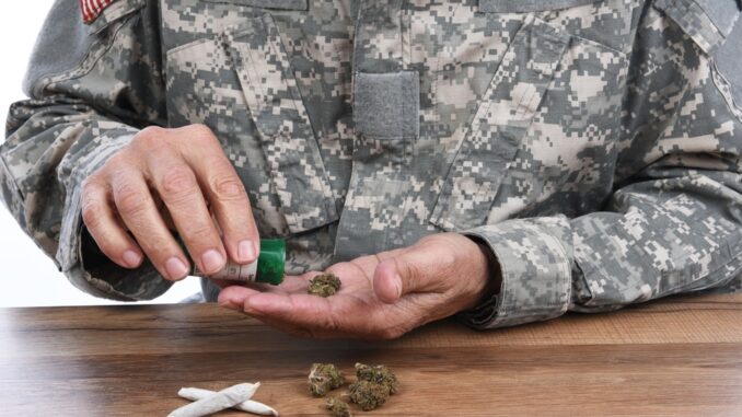 Study: 1 in 10 US Veterans Used Cannabis in Past Year