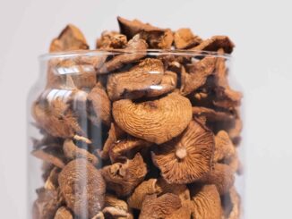 Biotech Company Seeks FDA Approval For Psilocybin-IBS Treatment