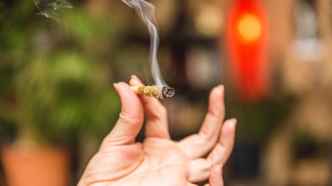 Study: Pot Use Linked With Lower Risk of Liver Disease